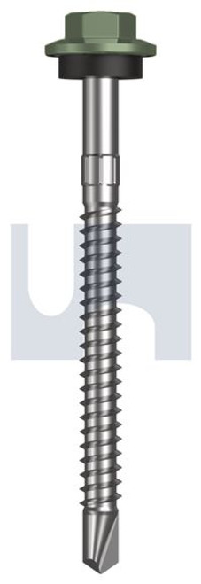 Metal Self Drilling Screw Hex Head + Washer #12-14 X65 Pale Eucalypt (Mist Green)-Cl4