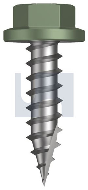 Type 17 Flanged Hex Head #14-10 X30 Pale Eucalypt (Mist Green)-Cl4