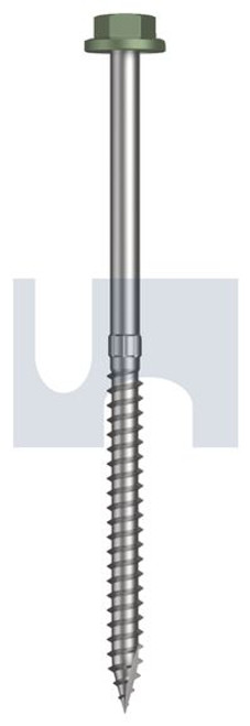 Type 17 Flanged Hex Head #14-10 X115 Pale Eucalypt (Mist Green)-Cl4