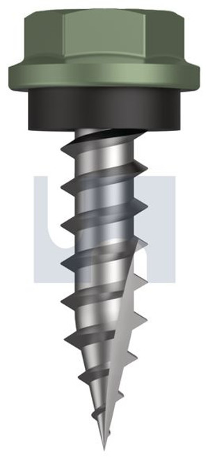 Type 17 Hex Head + Washer #10-12 X20 Pale Eucalypt (Mist Green)-Cl4