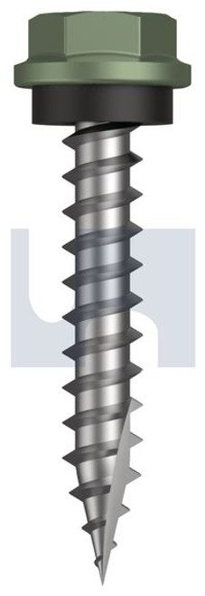 Type 17 Hex Head + Washer #10-12 X30 Pale Eucalypt (Mist Green)-Cl4