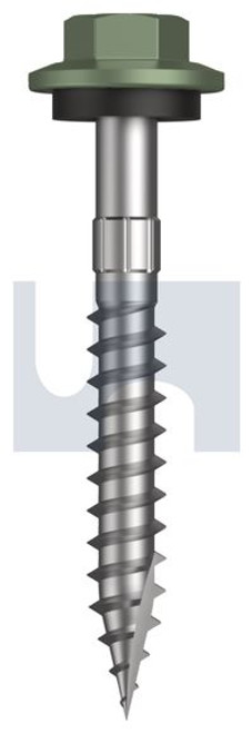 Type 17 Hex Head + Washer #12-11 X45 Pale Eucalypt (Mist Green)-Cl4