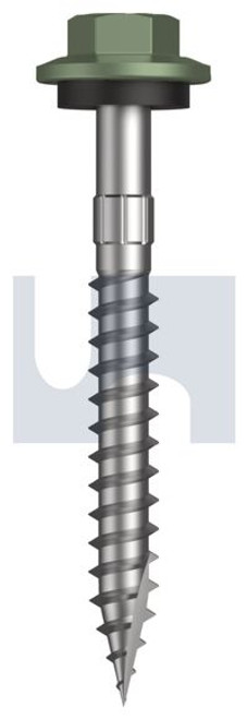 Type 17 Hex Head + Washer #12-11 X50 Pale Eucalypt (Mist Green)-Cl4
