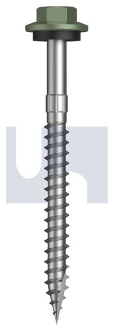 Type 17 Hex Head + Washer #12-11 X65 Pale Eucalypt (Mist Green)-Cl4