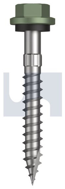 Type 17 Hex Head + Washer #14-10 X50 Pale Eucalypt (Mist Green)-Cl4