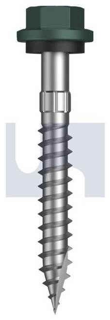 Type 17 Hex Head + Washer #14-10 X50 Plantation - Cl4