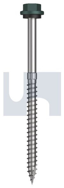 Type 17 Hex Head + Washer #14-10 X100 Plantation - Cl4