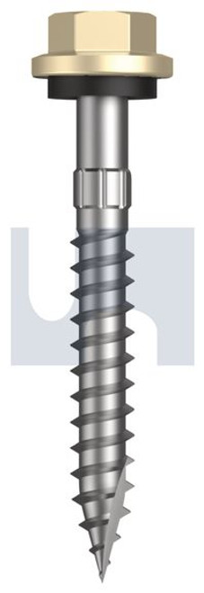 Type 17 Hex Head + Washer #14-10 X50 Primrose - Cl4