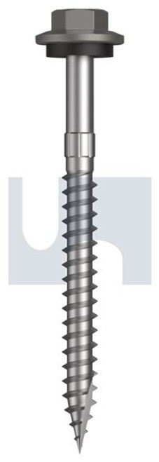 Type 17 Hex Head + Washer #12-11 X65 Wallaby - Cl4