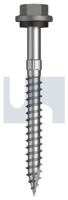 Type 17 Hex Head + Washer #14-10 X65 Wallaby - Cl4