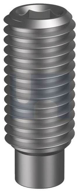 Socket Set Dog Pt Pln M6 X 6 Din915/Alloy