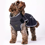 Pelle Petterson Commodus Dog Coat Reflective Charcoal