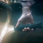 Coast PolySteel PS200 250 Lumen LED Waterproof Hand Torch