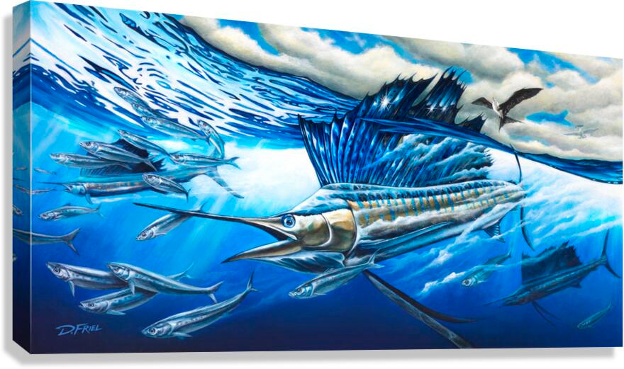 Framed Canvas Print - Sailfish Harmony 1