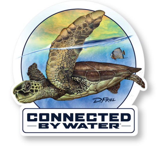 Dennis Friel Turtle Cove sticker