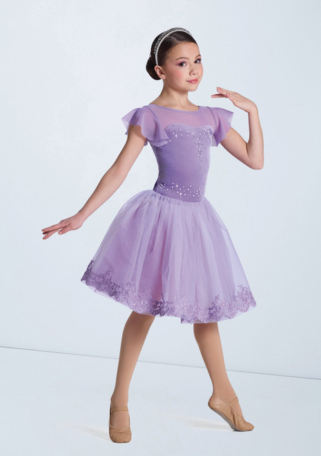 Weissman Constant As The Stars Above Iris 148 [Violeta]
