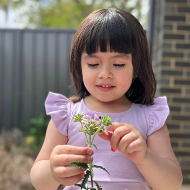 Wilder Peplum Top and Dress PDF Sewing Pattern - Ruffle Sleeve Hack!