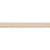10mm Frilly Picot Elastic - Beige | Lingerie - 5M Pack