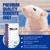 Fuzzie Mice

Frozen feeder large fuzzie fuzzy mice are good for newly hatched  corn snake, boas, ball python, king snake, carnivorous lizards, monitors, red tail boas, milk snakes, rat snakes, birds of prey, bearded dragons,  amphibians and other predators.