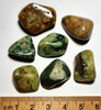 Rainforest Rhyolite Tumbled Stones 15-25mm Bulk Lot 25 grams Crystal Gridding