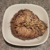 Rose of Jericho before adding water