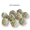 Desert Rose Selenite 20-30 gram 3cm 