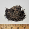 Lodestone Magnetite Natural Small 20 grams LSNT20