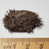 Lodestone Magnetite Natural Small 10 grams LSNT10