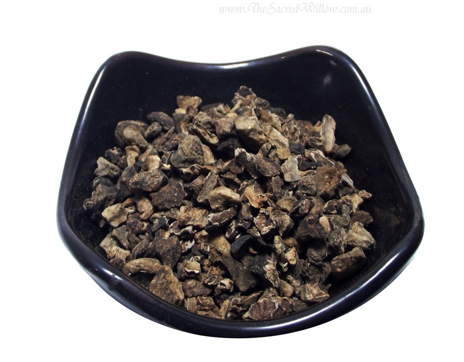 Devils Claw Root (Harpagophytum procumbens) Dried Herb