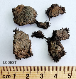 Lodestone Magnetite Natural Small Pair 20 grams