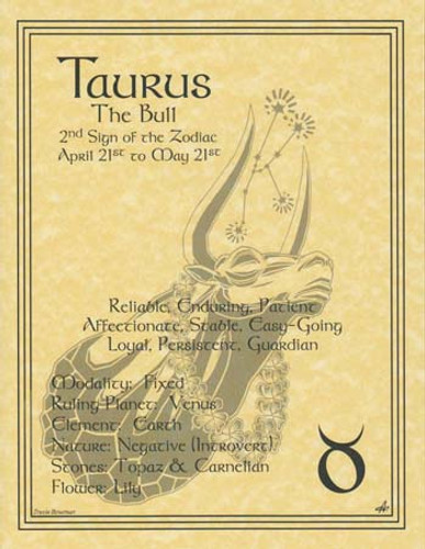 Taurus Zodiac Poster on Parchment A4