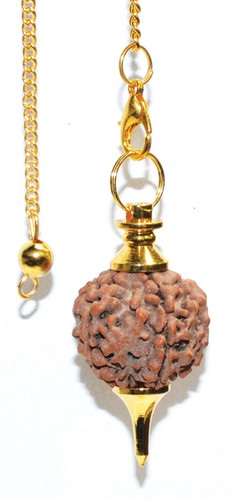 Pendulum Rudraksha Seed Gold Toned Chain 23cm