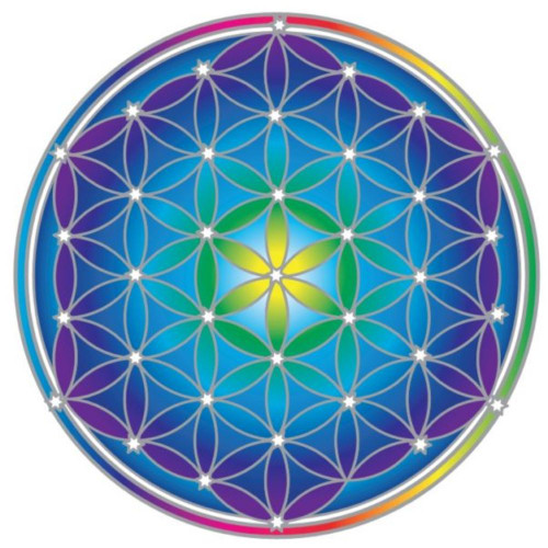 Sunseal Stained Glass Decal Suncatcher Sticker 14cm Flower of Life Sacred Geometry