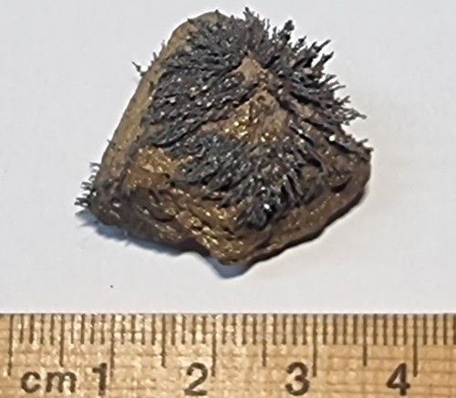 Lodestone Magnetite Gold 27 grams LDST243