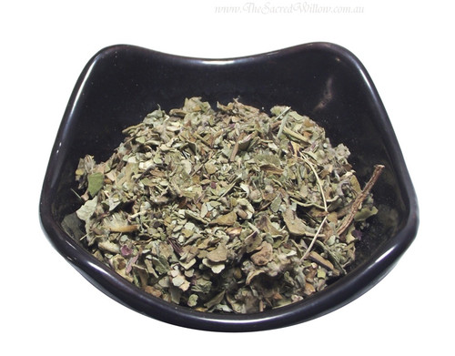 Coltsfoot (Tussilago farfara) Leaf