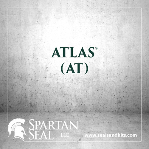 1A17R000S Atlas replacement seal kit