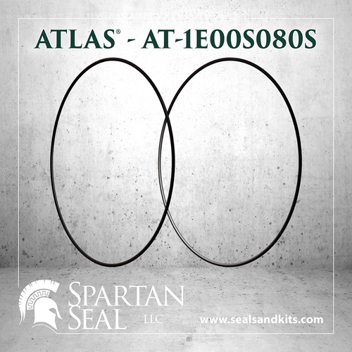 1E00S080S Atlas replacement seal kit