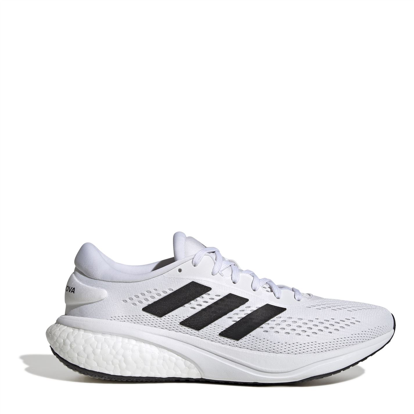 21136501_xxl__57365.1711750273