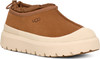 Chestnut/Whitecap