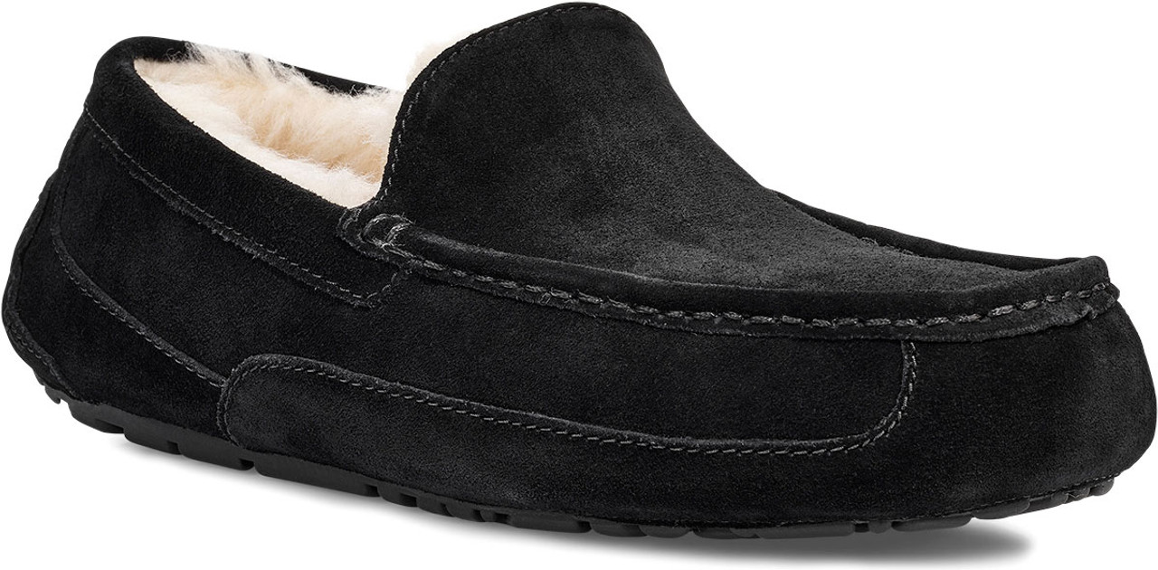 UGG Men's Ascot