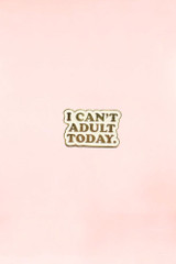 I Can’t Adult Today Enamel Pin Lapel Brooch