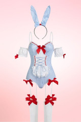 Seductive Bunny Costume Bodysuit Garter Set