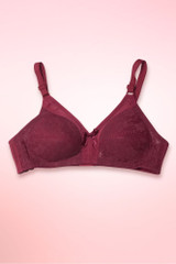 Vintage Lace Wirefree Plus Size Bra