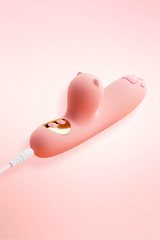rechargeable Rabbit vibrator.