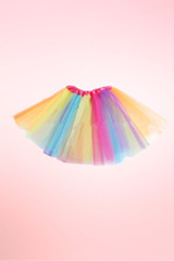 Rainbow Petticoat Tulle Tutu Skirt