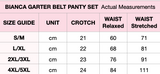 Bianca Red Mesh Retro Garter Belt Panty Set