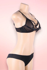 Eden Black Mesh Plus Size Bra and Panty Set