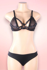 Eden Black Mesh Plus Size Bra and Panty Set
