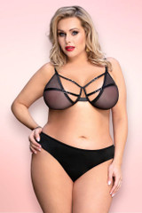 Eden Black Mesh Plus Size Bra and Panty Set.