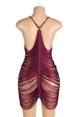 Celestia Wine Red Maroon Halter Tassel Flapper Vintage nighties on a mannequin back view